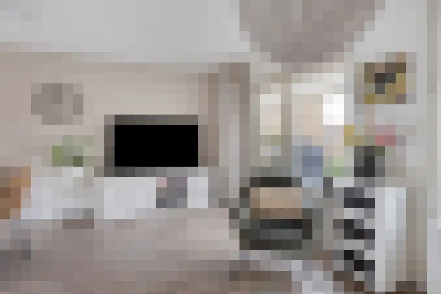 Orgelpad 11 Spijkenisse thumbnail 9