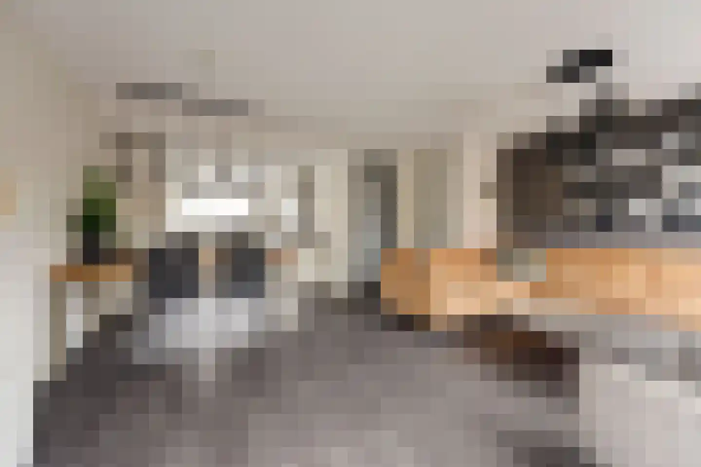 Orgelpad 5 Spijkenisse thumbnail 10