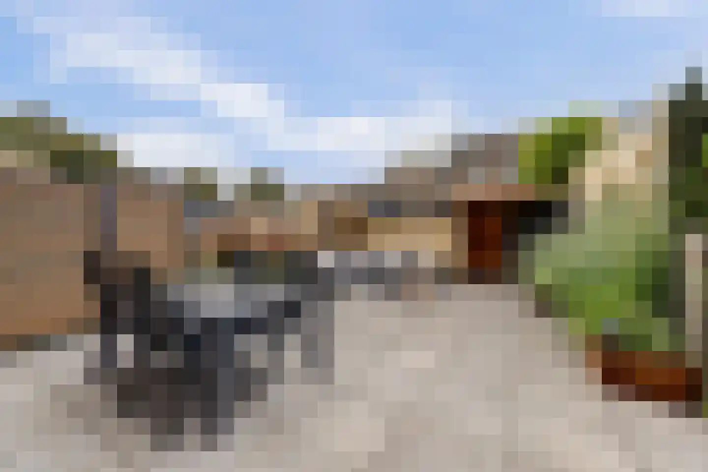 Orgelpad 5 Spijkenisse thumbnail 14