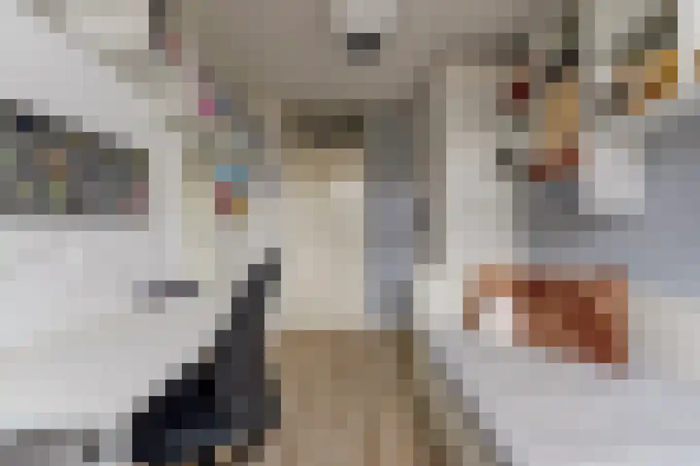 Orgelpad 5 Spijkenisse thumbnail 26