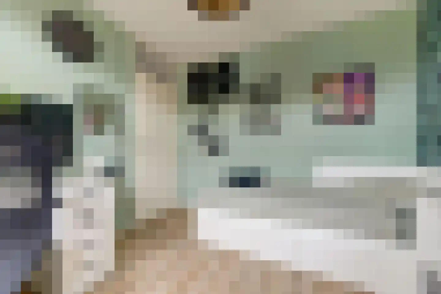 Orgelpad 5 Spijkenisse thumbnail 28