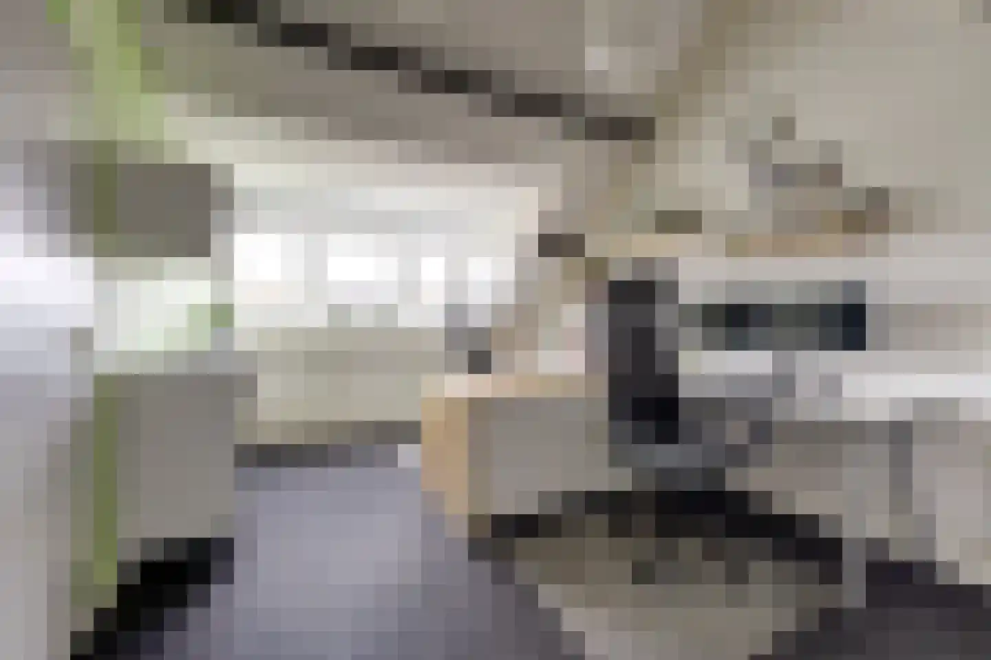 Orgelpad 5 Spijkenisse thumbnail 32