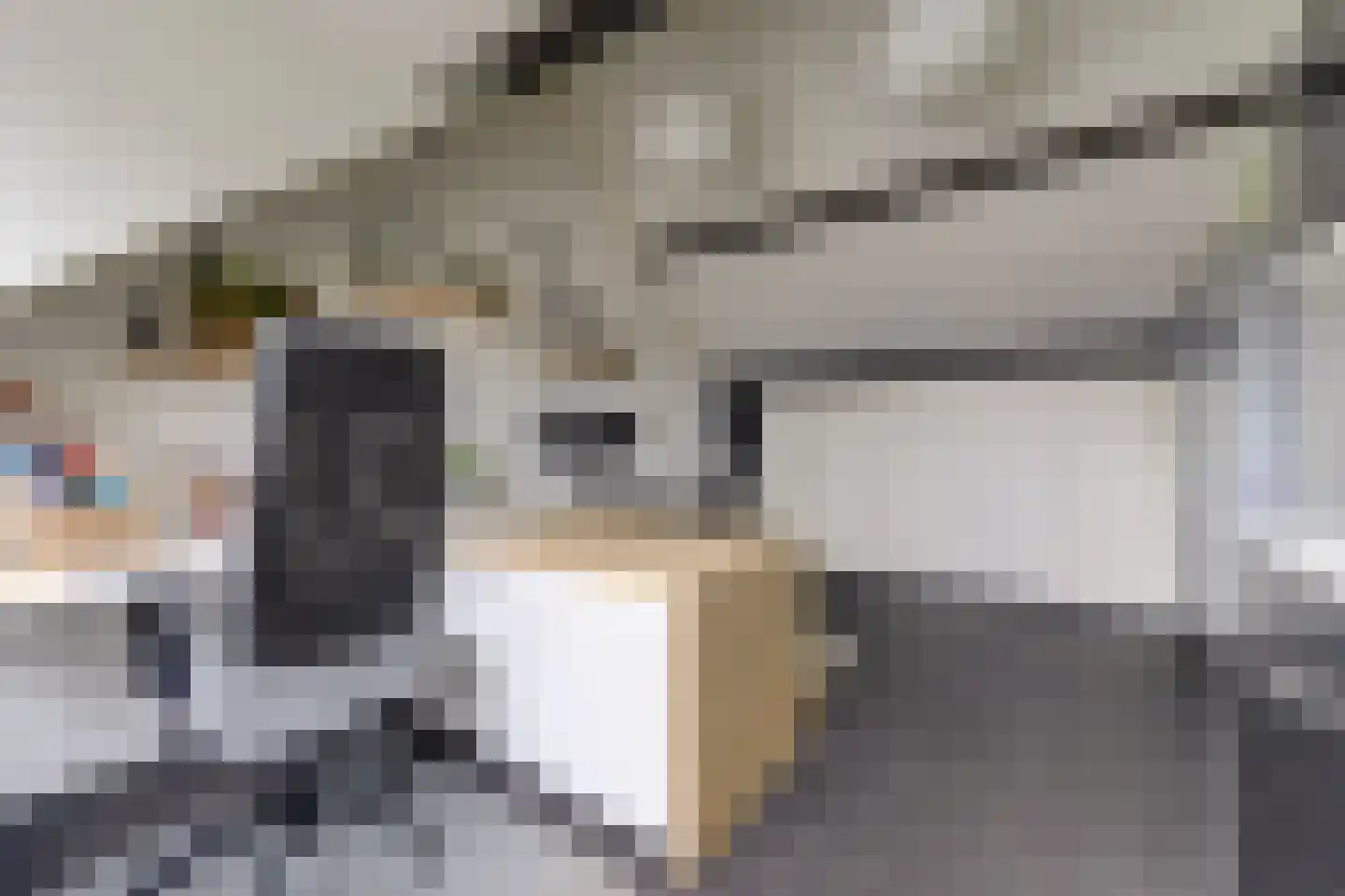 Orgelpad 5 Spijkenisse thumbnail 33