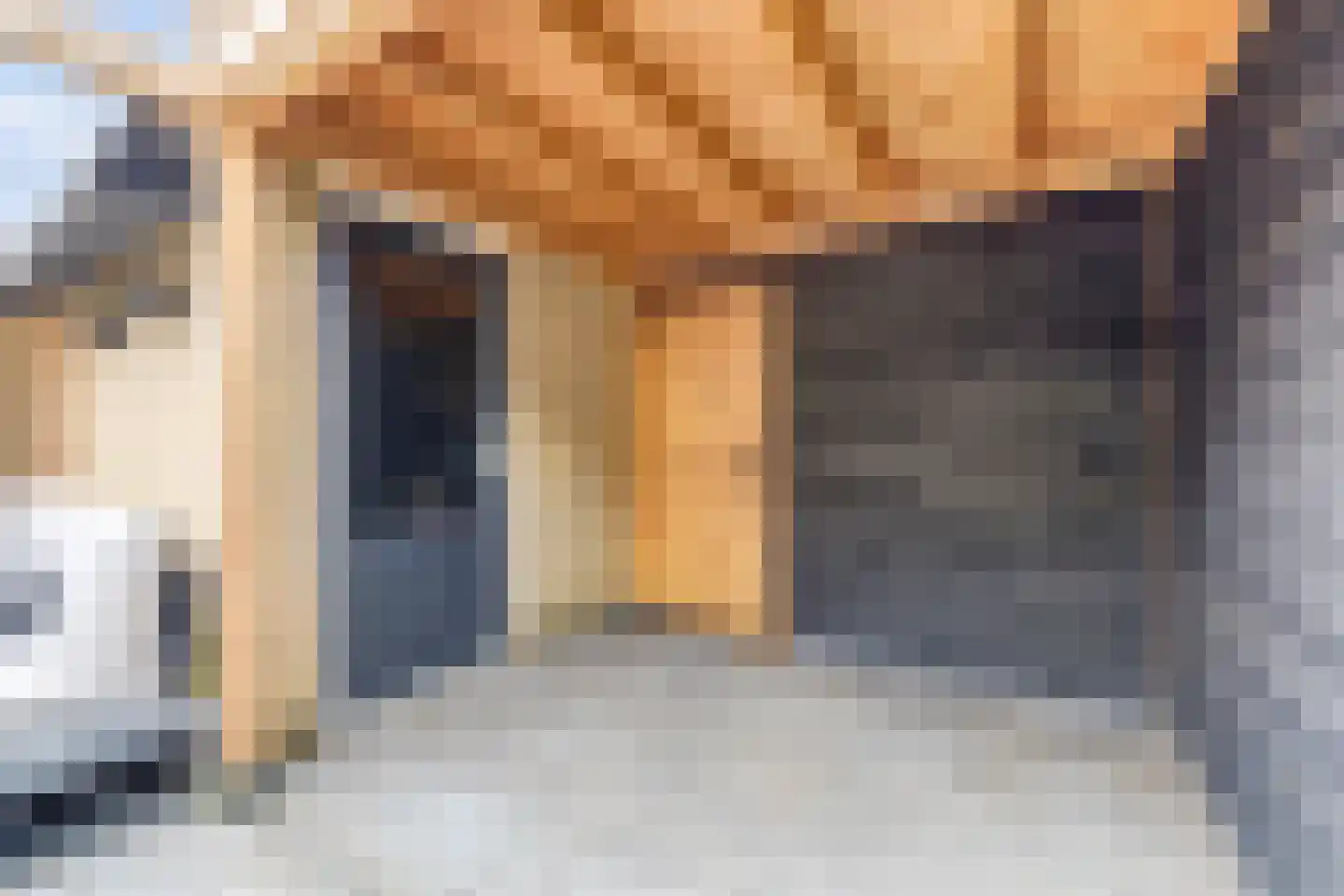 Orgelpad 5 Spijkenisse thumbnail 34