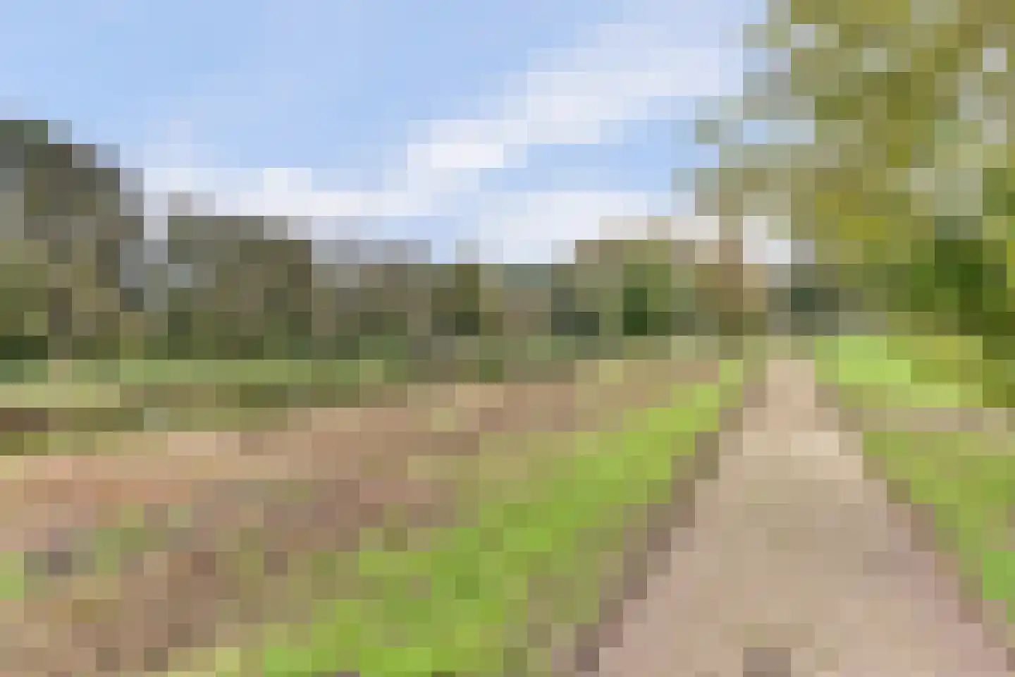 Orgelpad 5 Spijkenisse thumbnail 35