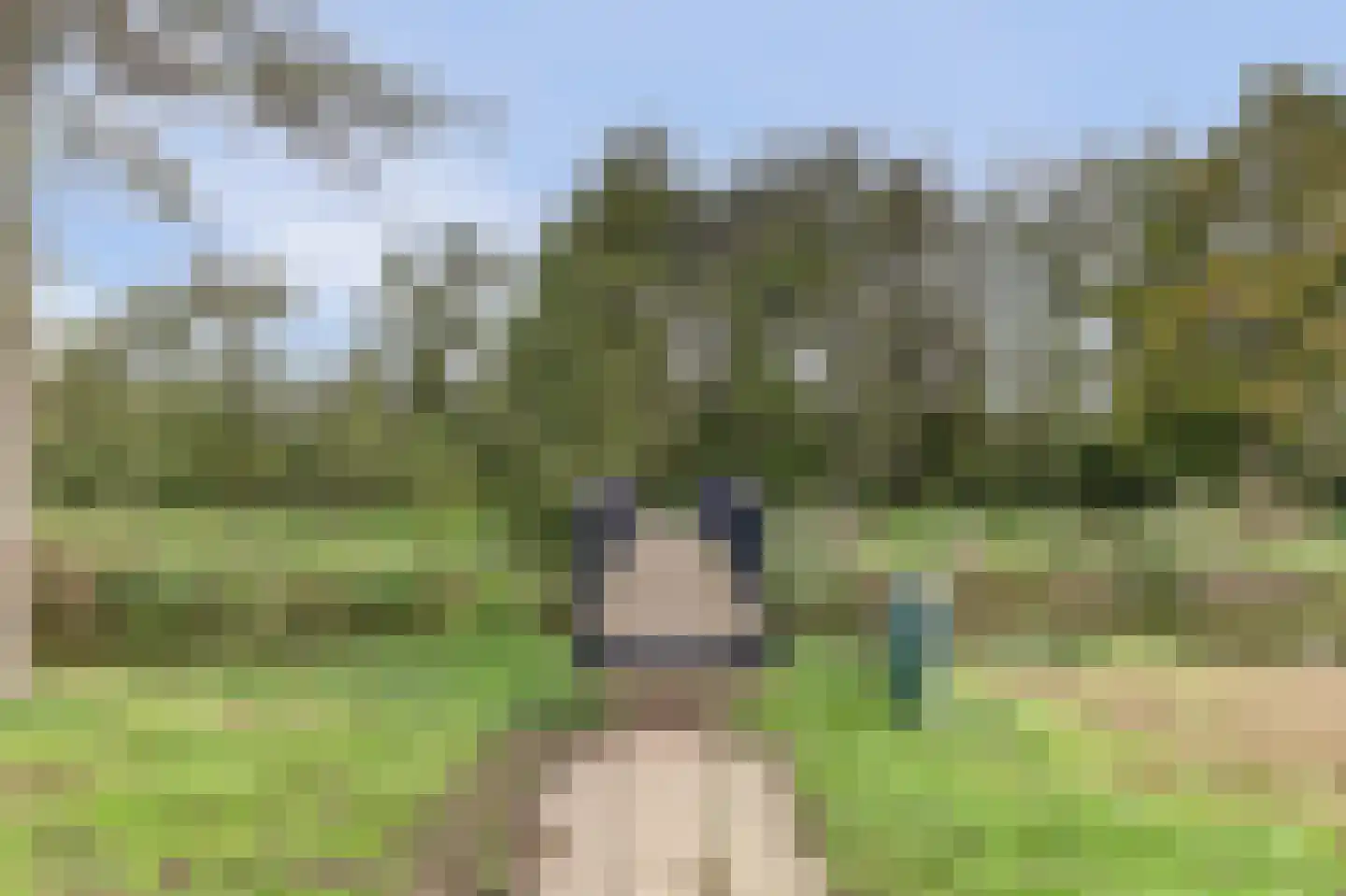 Orgelpad 5 Spijkenisse thumbnail 36