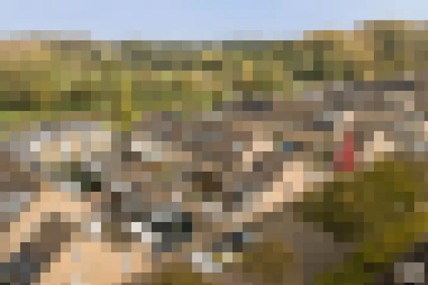 Orgelpad 5 Spijkenisse thumbnail 38