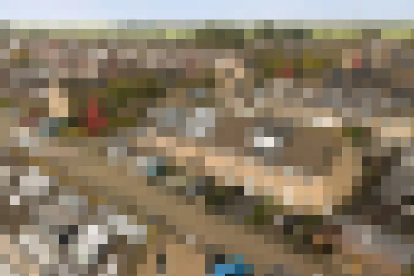 Orgelpad 5 Spijkenisse thumbnail 39