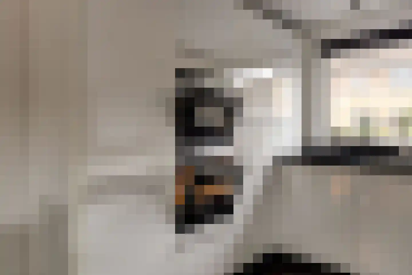 Orgelpad 5 Spijkenisse thumbnail 6