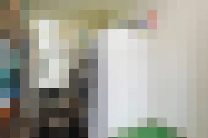 Oriëntblauw 21 Zoetermeer thumbnail 27