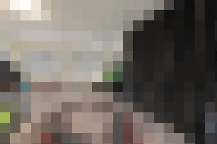 Oriëntblauw 21 Zoetermeer thumbnail 37