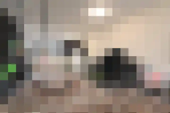 Oriëntblauw 21 Zoetermeer thumbnail 39