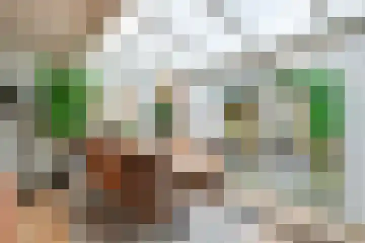 Oriëntblauw 4 Zoetermeer thumbnail 14