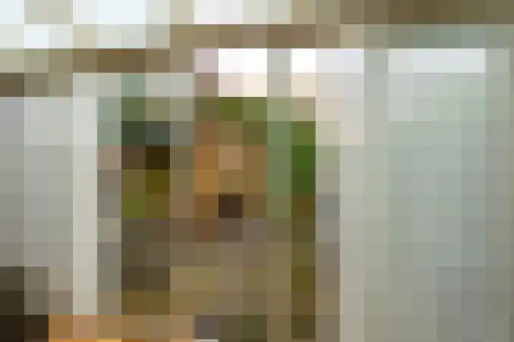 Oriëntblauw 4 Zoetermeer thumbnail 15