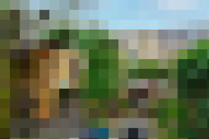 Oriëntblauw 4 Zoetermeer thumbnail 17