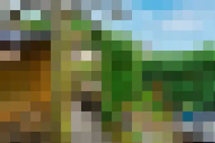 Oriëntblauw 4 Zoetermeer thumbnail 18