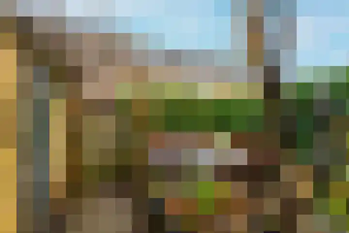 Oriëntblauw 4 Zoetermeer thumbnail 19