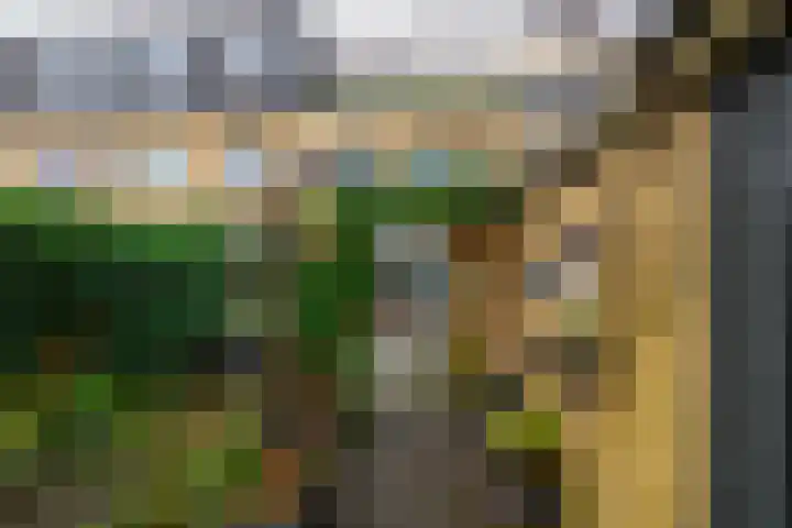 Oriëntblauw 4 Zoetermeer thumbnail 20