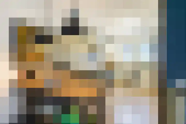 Oriëntblauw 4 Zoetermeer thumbnail 23