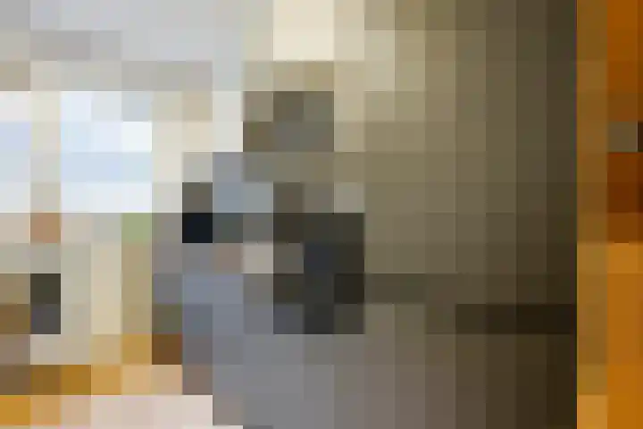 Oriëntblauw 4 Zoetermeer thumbnail 24