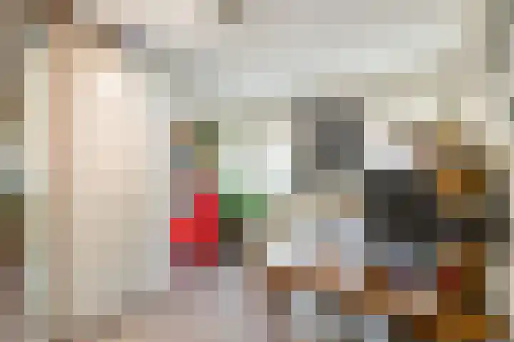 Oriëntblauw 4 Zoetermeer thumbnail 29