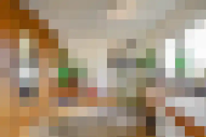 Oriëntblauw 4 Zoetermeer thumbnail 36
