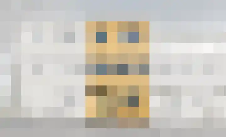 Oriëntblauw 4 Zoetermeer thumbnail 47