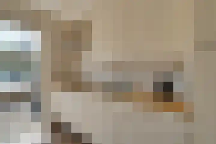 Origamistraat 10 Purmerend thumbnail 17