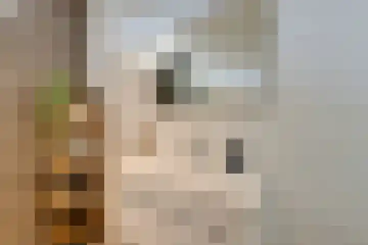 Origamistraat 10 Purmerend thumbnail 29