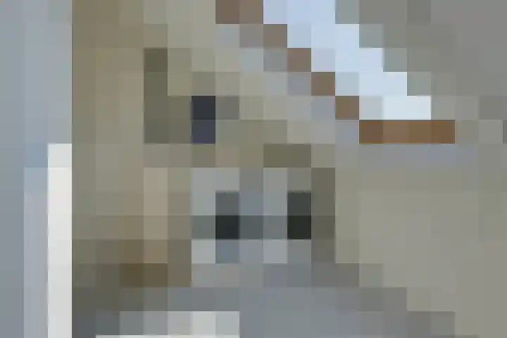 Origamistraat 10 Purmerend thumbnail 36