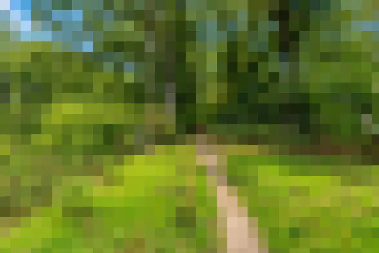 Oringerbrink 100 Emmen thumbnail 35