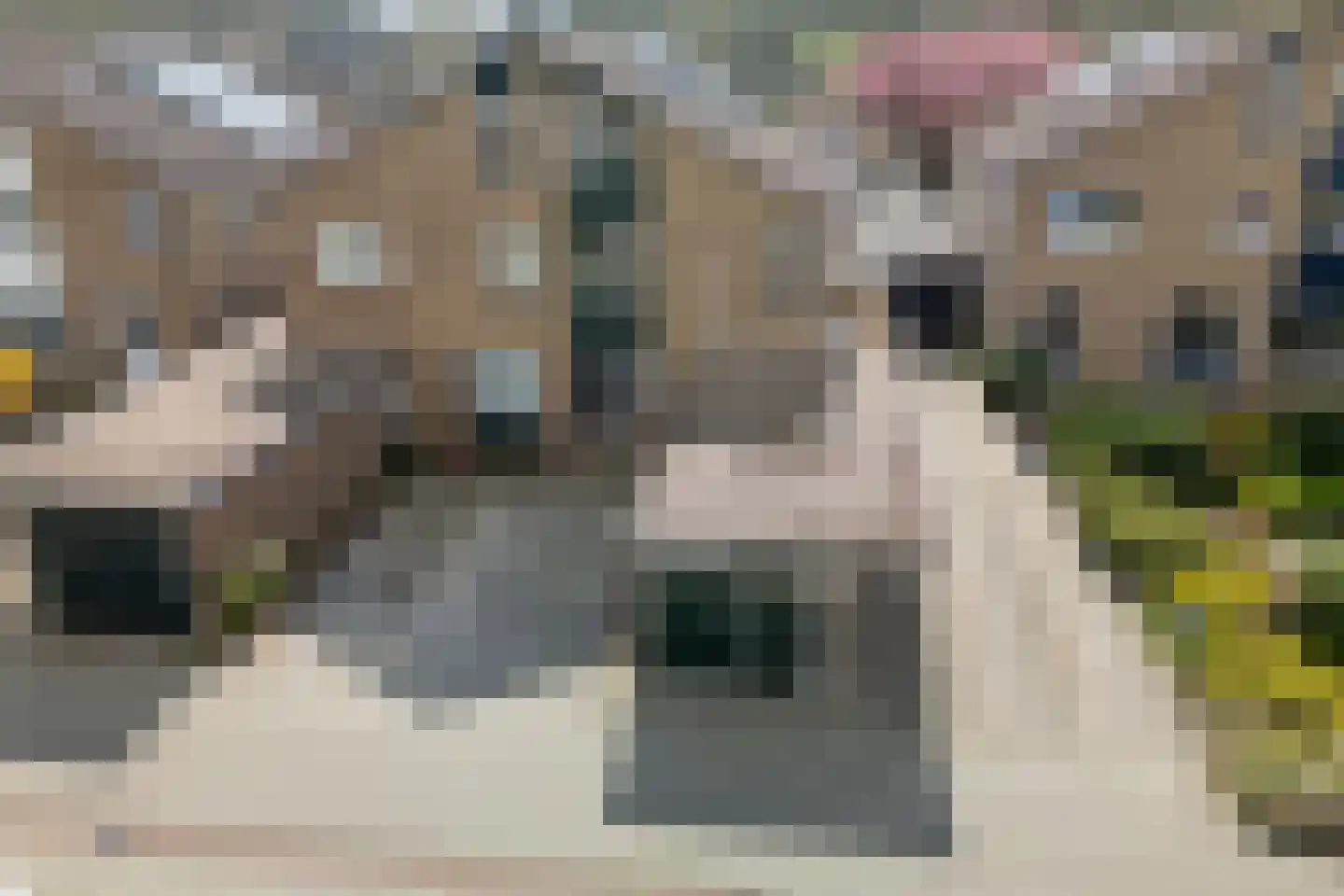 Oringerbrink 110 in Emmen