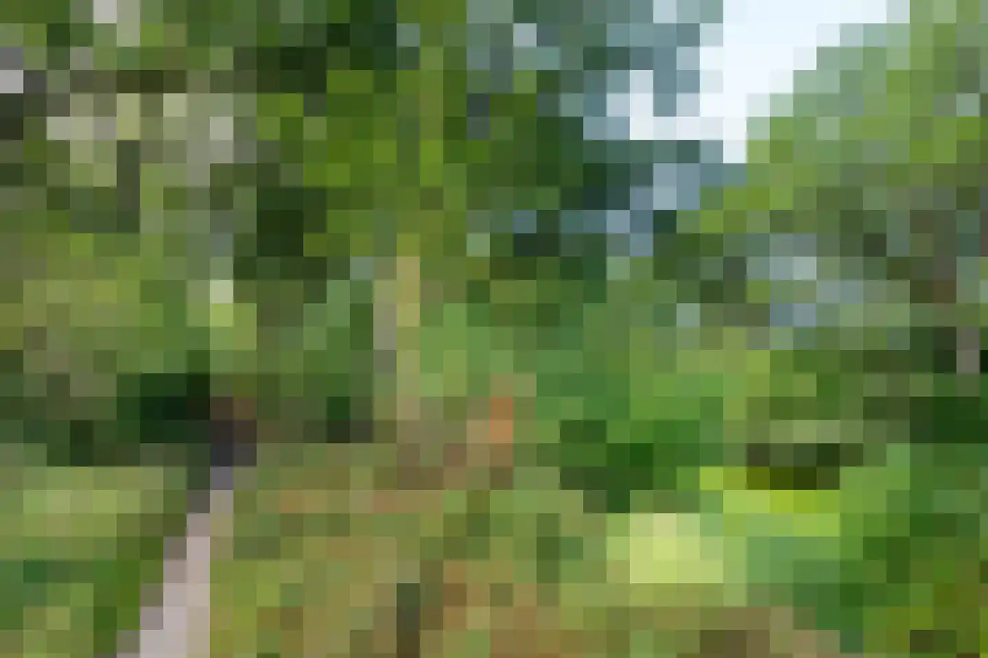Oringerbrink 110 Emmen thumbnail 31