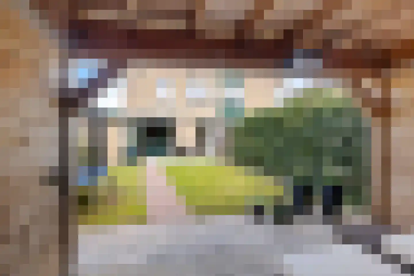 Oringerbrink 110 Emmen thumbnail 35