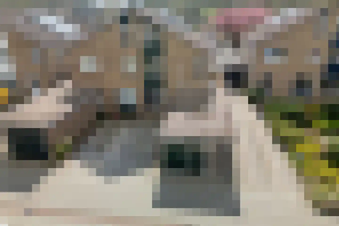 Oringerbrink 110 Emmen thumbnail 40