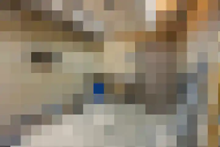 Oringerbrink 132 Emmen thumbnail 12