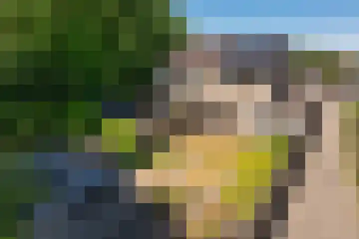 Oringerbrink 132 Emmen thumbnail 16