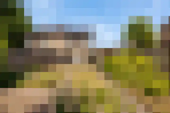 Oringerbrink 132 Emmen thumbnail 41