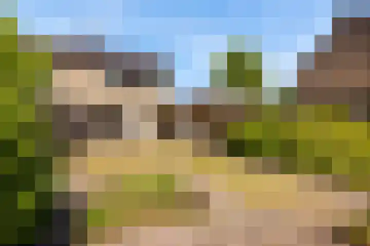 Oringerbrink 132 Emmen thumbnail 43
