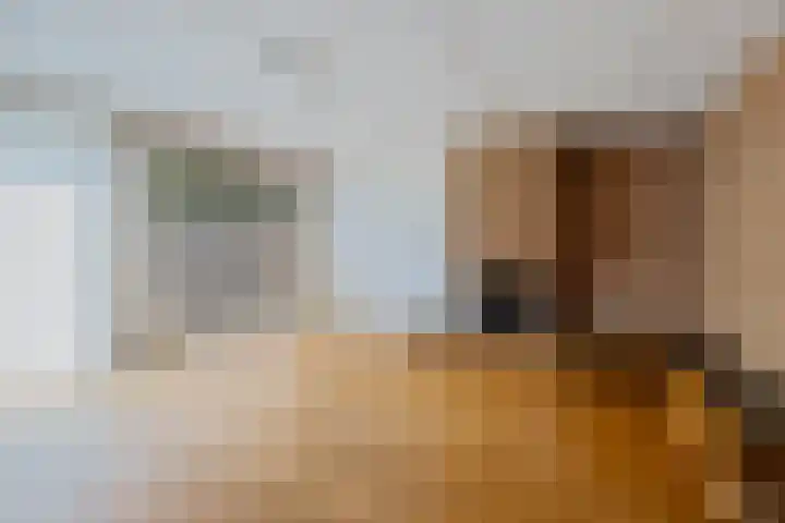 Oringerbrink 132 Emmen thumbnail 8