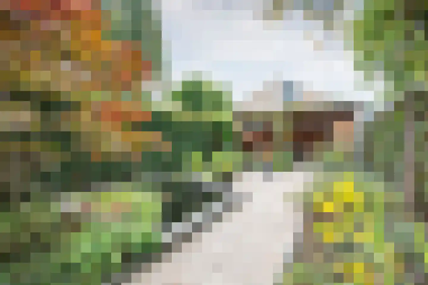 Oringerbrink 143 Emmen thumbnail 32