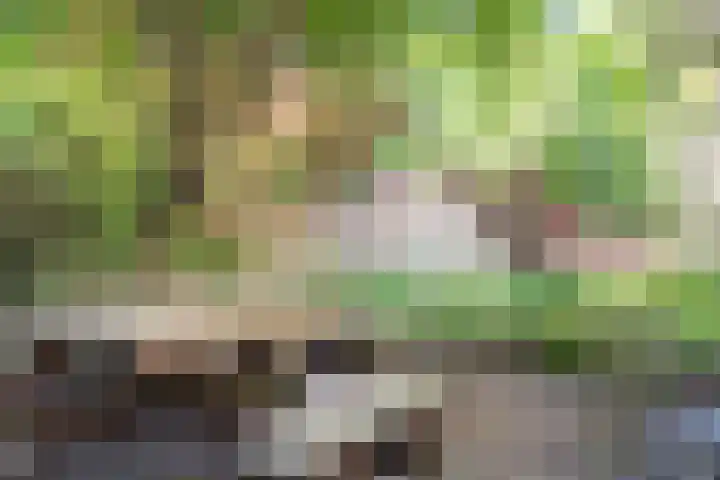 Oringerbrink 86 Emmen thumbnail 38