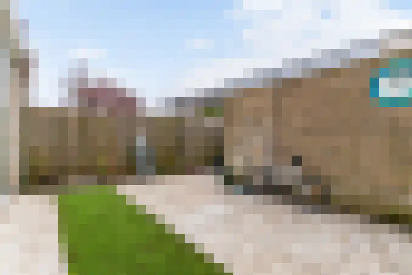 Orinoco 28 Amstelveen thumbnail 29