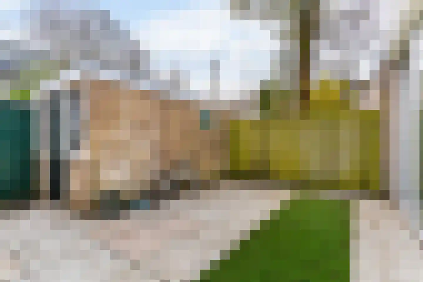 Orinoco 28 Amstelveen thumbnail 31