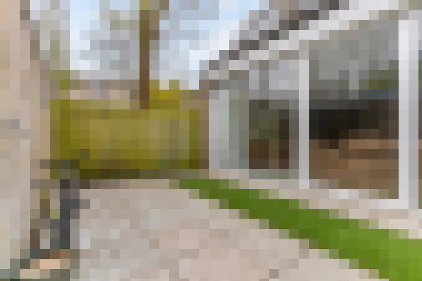 Orinoco 28 Amstelveen thumbnail 32