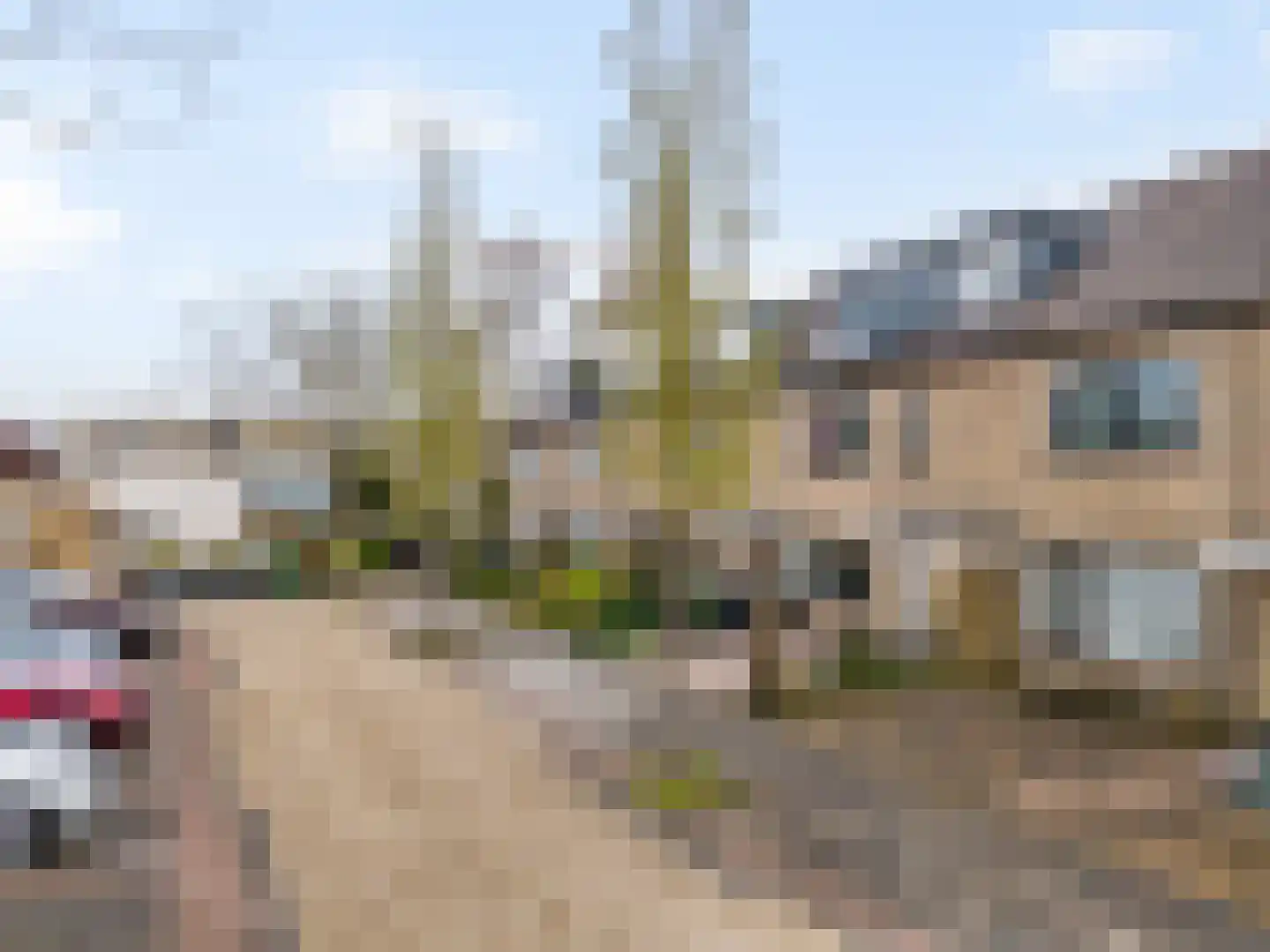 Orinoco 28 Amstelveen thumbnail 39