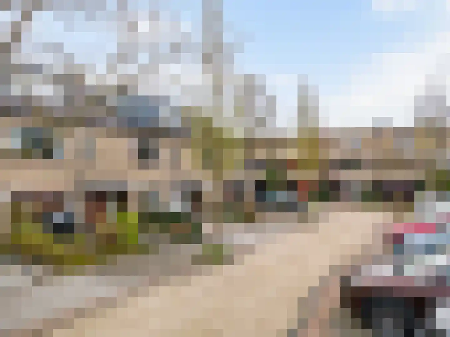 Orinoco 28 Amstelveen thumbnail 40