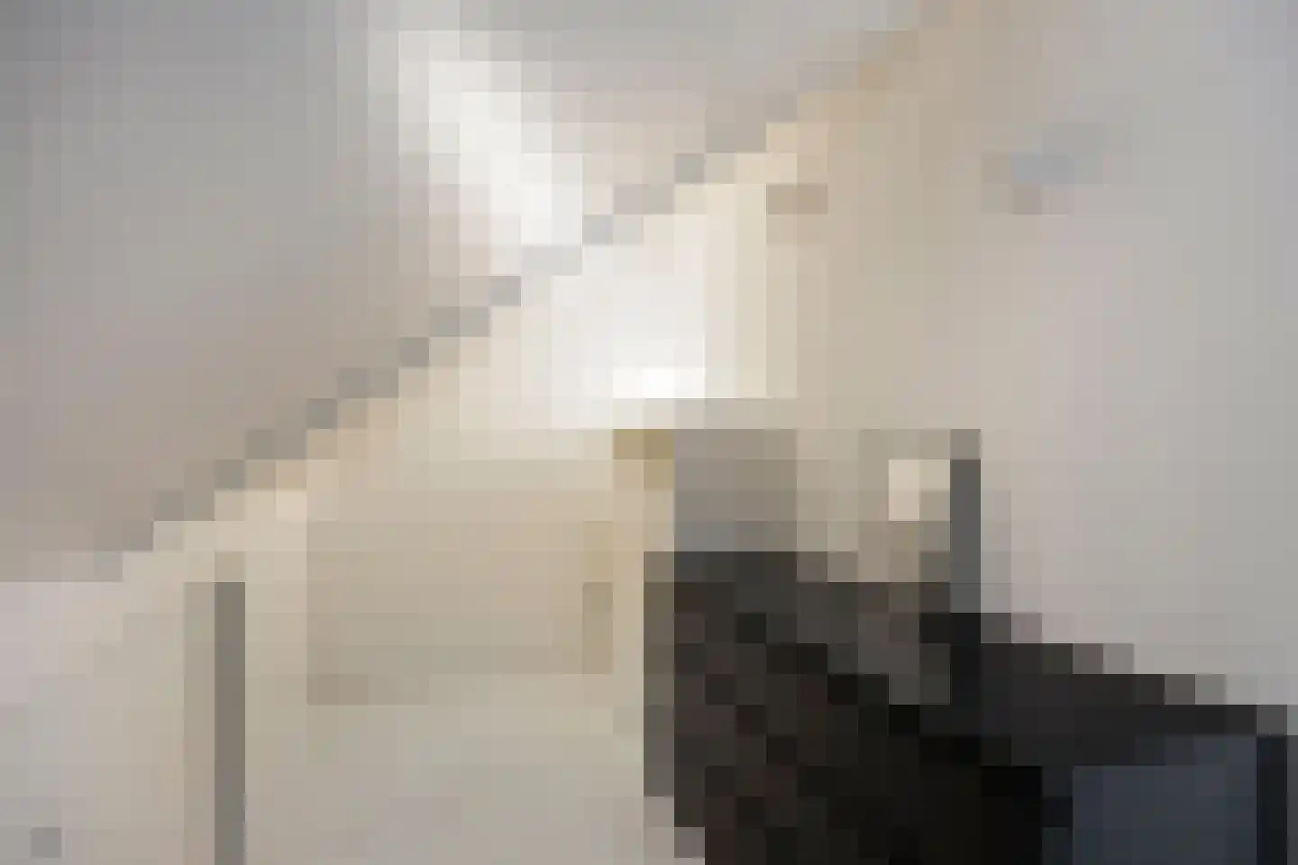 Orinocostraat 21 Purmerend thumbnail 47