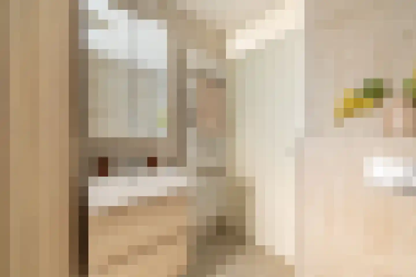 Orinocostraat 37 Purmerend thumbnail 27