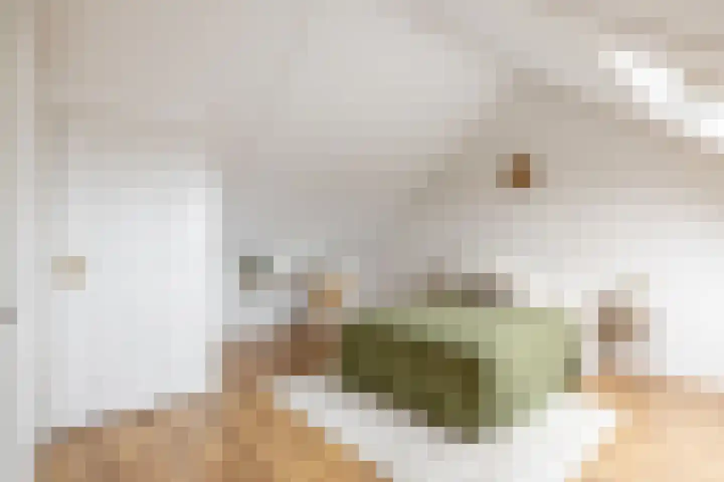 Orinocostraat 37 Purmerend thumbnail 29